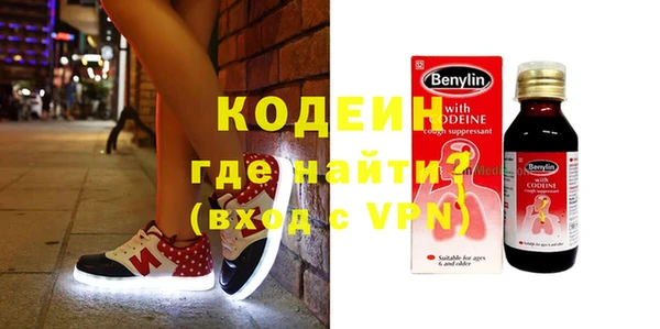 гашик Пересвет