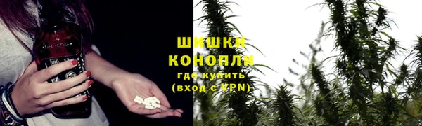 гашик Пересвет
