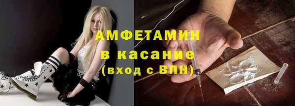 гашик Пересвет