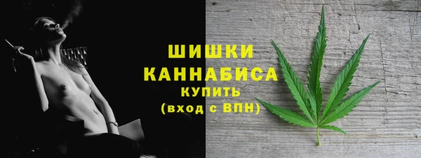 гашик Пересвет