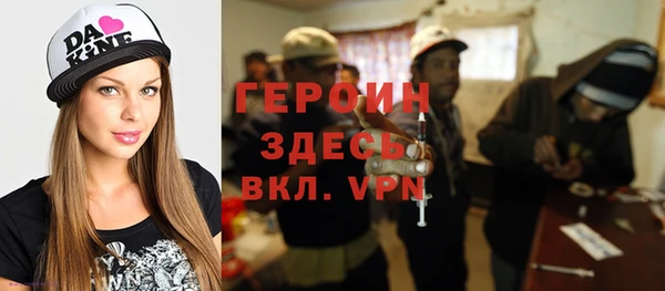 гашик Пересвет