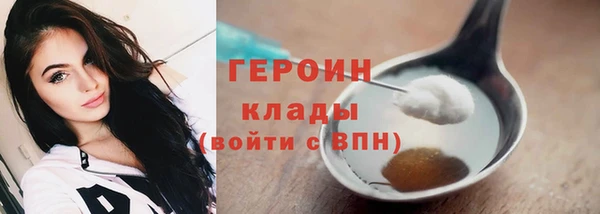 гашик Пересвет