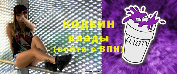 гашик Пересвет