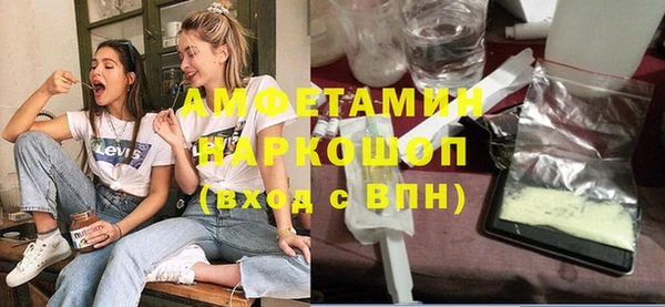 гашик Пересвет