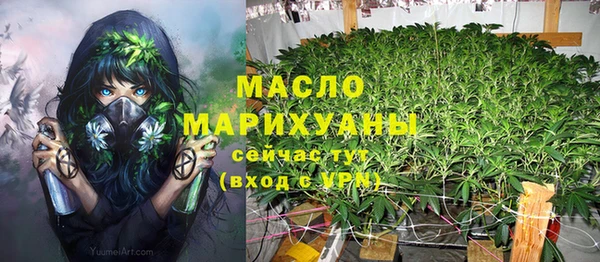 гашик Пересвет