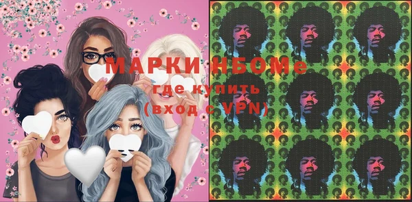 гашик Пересвет