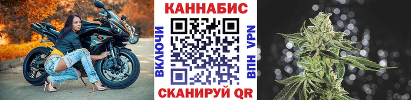 hydra   Суворов  Бошки марихуана SATIVA & INDICA  цена  